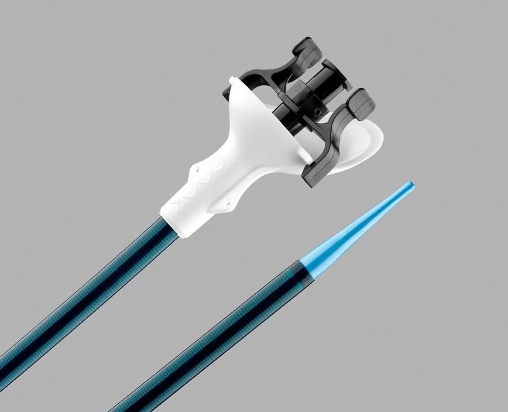 Flexor® Ureteral Access Sheath